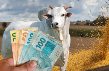 Selic superar os 15%, créditos com juros a partir de 2% ano, estrangulando a capacidade de investimento e até mesmo de manutenção das operações básicas.